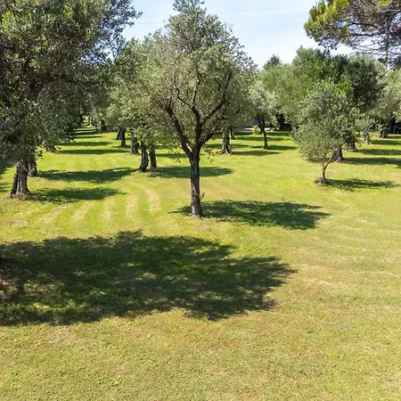 Apartment Il Sasso Manerba del Garda